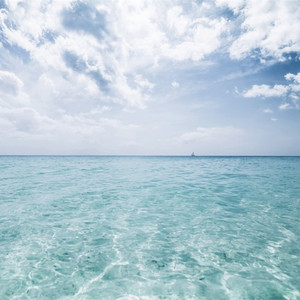 亚洲一区二区三区视频嗯嗯
